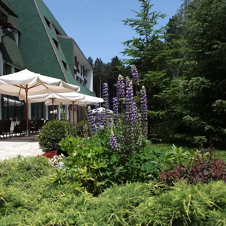 Hotel Mona Plaza
